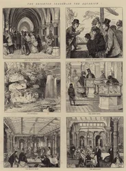 Die Brighton-Saison, im Aquarium